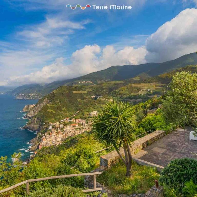 Blue Marine, TerreMarine - Casa con 1 dormitorio - 19