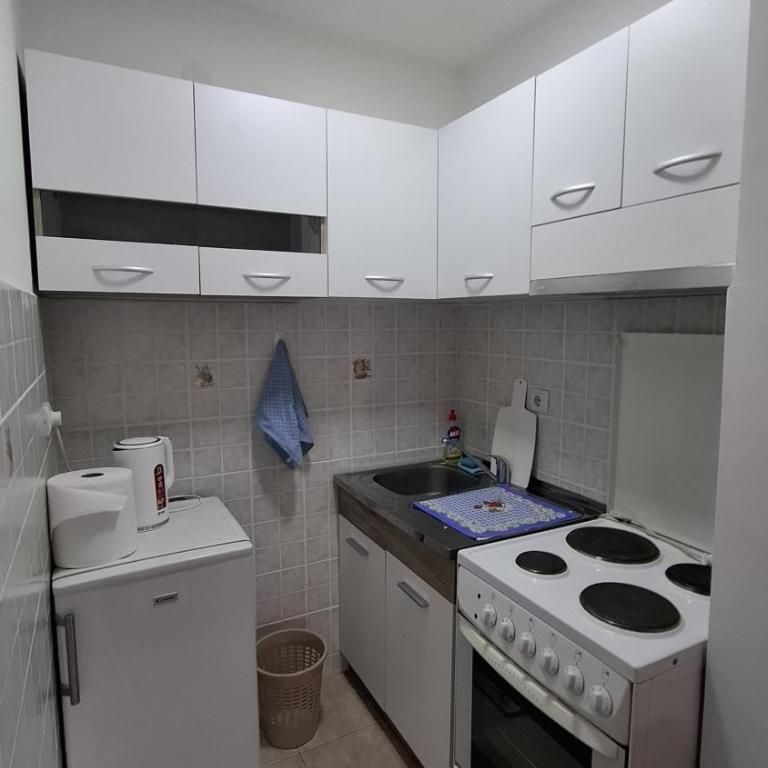 Apartmani Bojković - One-Bedroom Apartment - 8