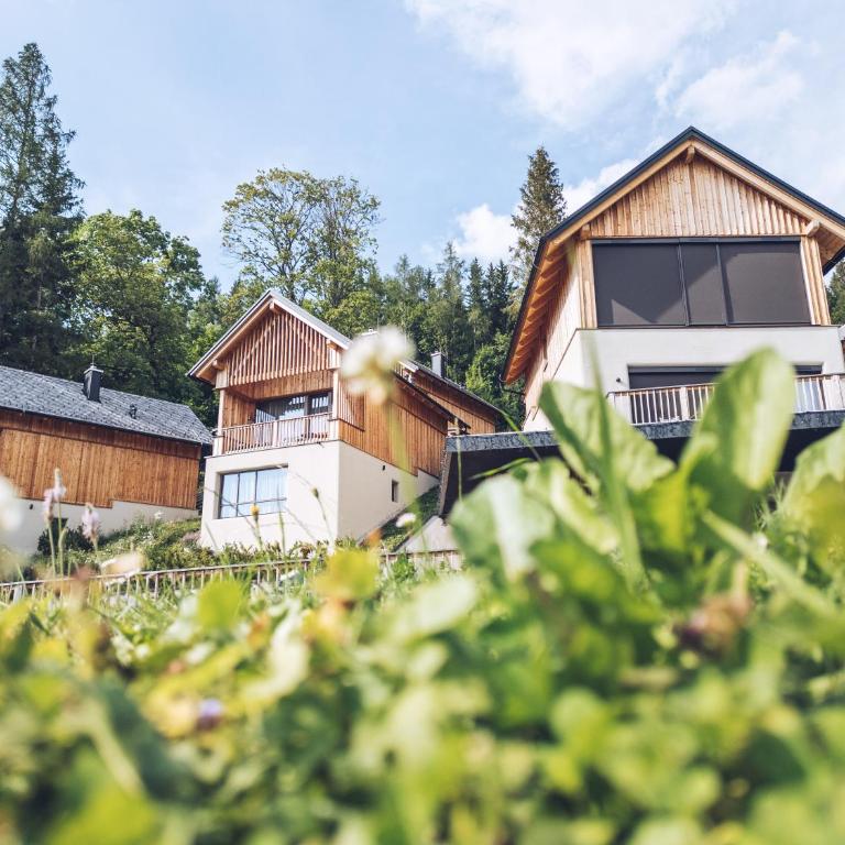 Hideaway Hotel Montestyria Chalets & Suiten - Chalet mit 1 Schlafzimmer - 3