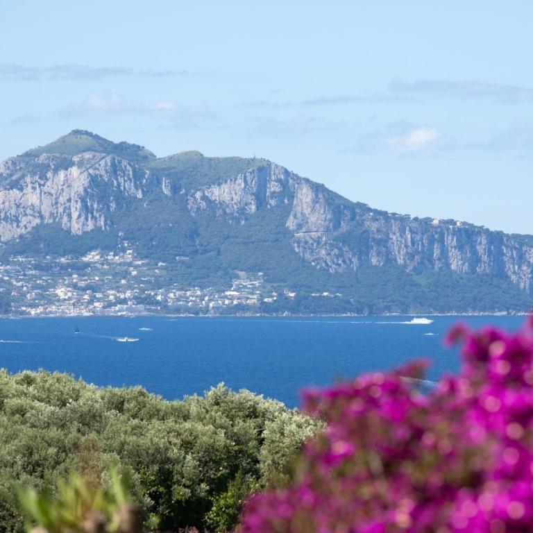 Villa Lorelei - Private Terrace - 25