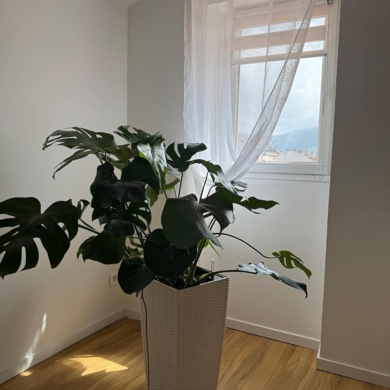 Renovated luxury cocoon Place Masséna - Appartement 1 Chambre - 7