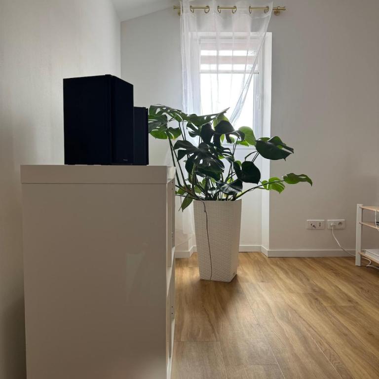 Renovated luxury cocoon Place Masséna - Appartement 1 Chambre - 8