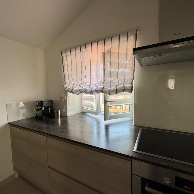 Renovated luxury cocoon Place Masséna - Appartement 1 Chambre - 21