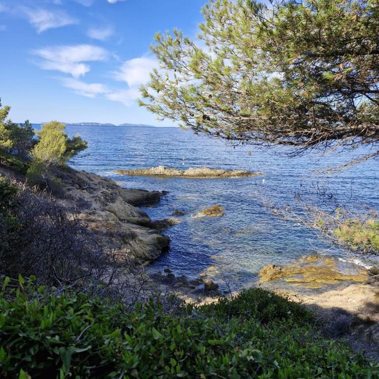 Cavalaire sur mer maison de vacances - Maison 2 Chambres - 5