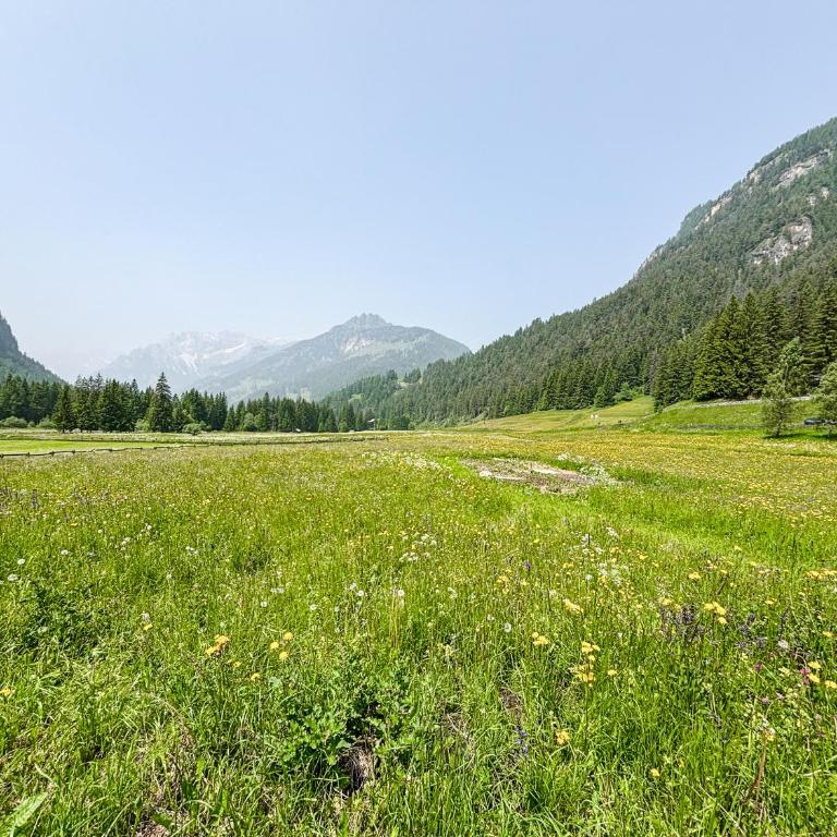Chalet Vernel - Appartamento con Vista Montagna - 24