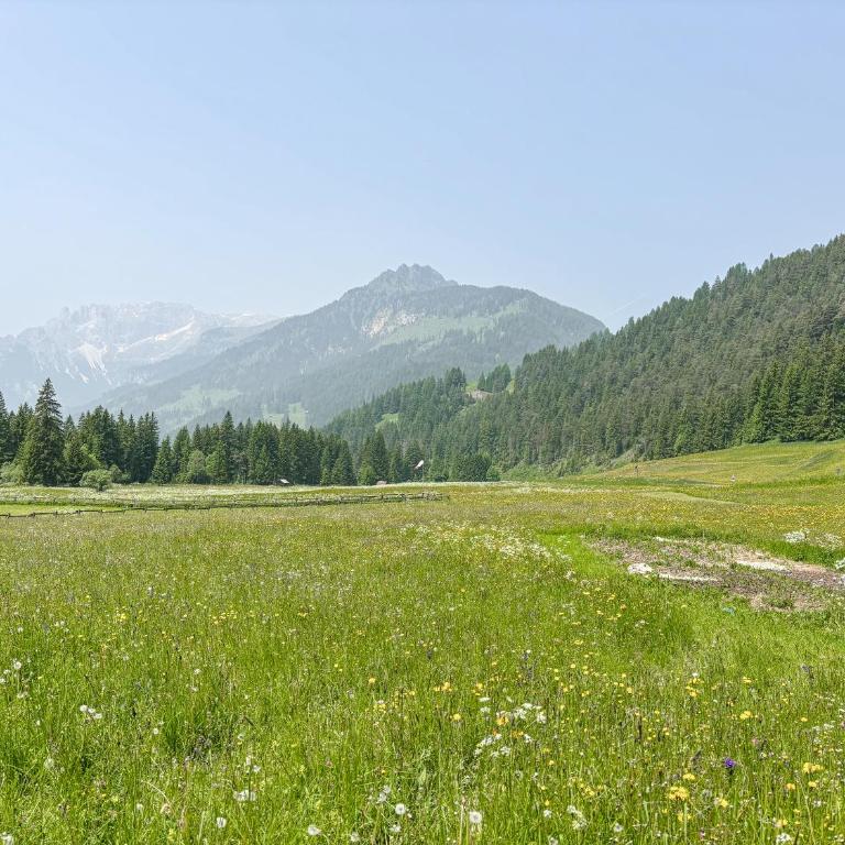 Chalet Vernel - Appartamento con Vista Montagna - 26