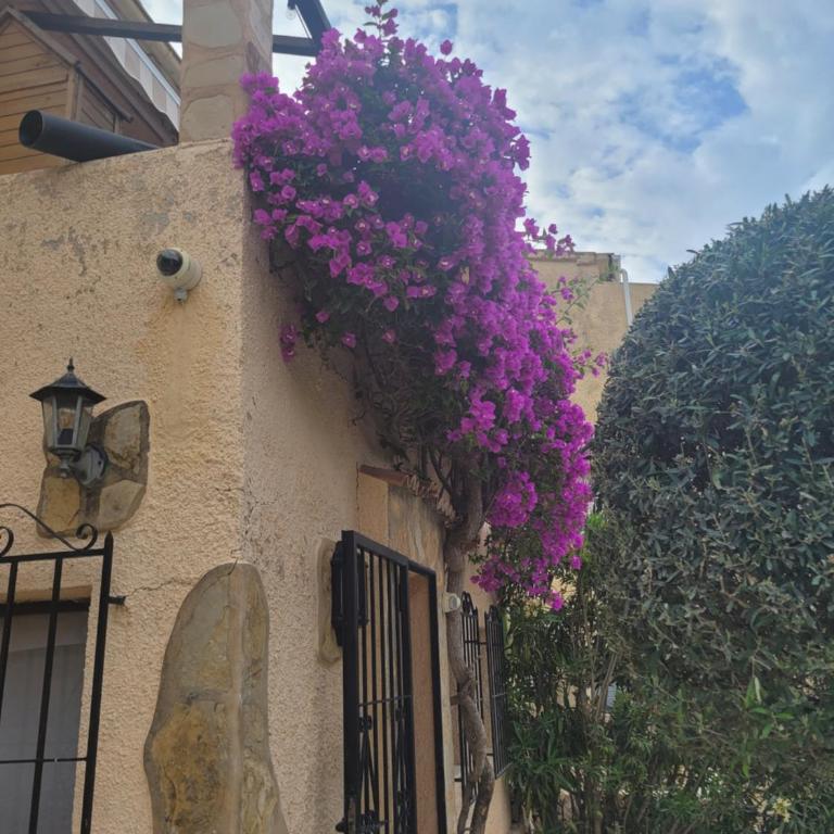 Casa Esperanza - Casa de 2 dormitorios - 2