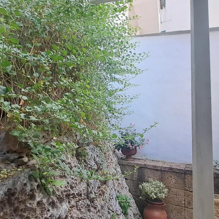 Mare e Mura Apartments - Appartamento con Terrazza - 10