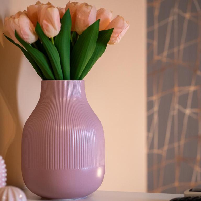AJ Suite and Breakfast - Camera Matrimoniale con Bagno Privato - 12