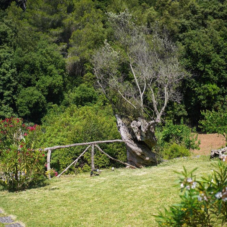 Villa Pascol - Villa - 29