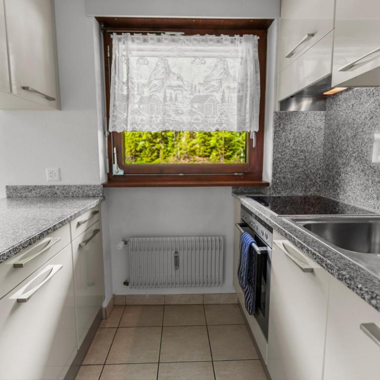 Vue, 2 terrasses & parking privé - Saas-Grund - Apartment mit 2 Schlafzimmern - 12