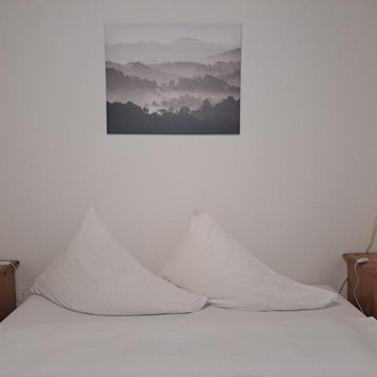 Family-friendly apartment with Alpine view - Apartment mit Blick auf die Berge - 48