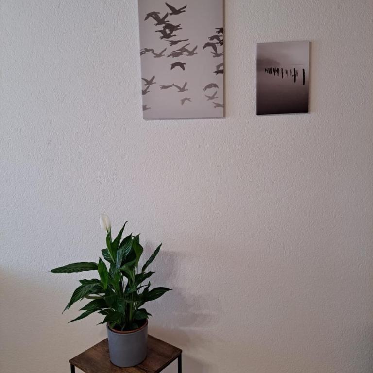 Family-friendly apartment with Alpine view - Apartment mit Blick auf die Berge - 44