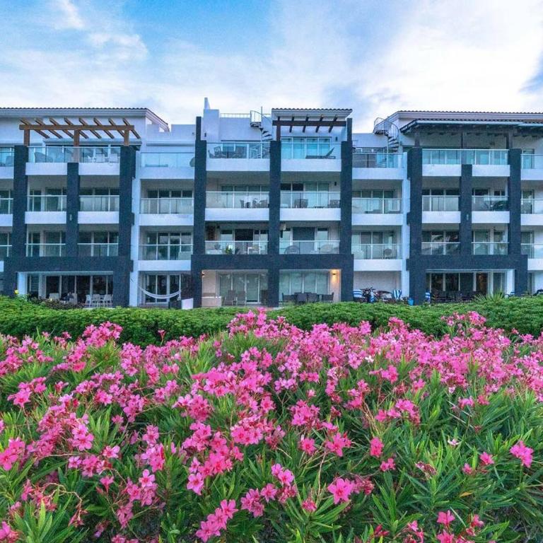 Mareazul 202S Oceanfront 2BR with Plunge Pool - Apartment - 31