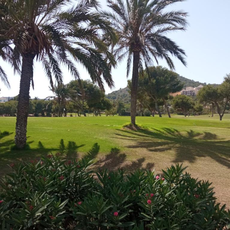 ELIO La Manga Club 4, golf & spa - Apartamento de 2 dormitorios con terraza - 6