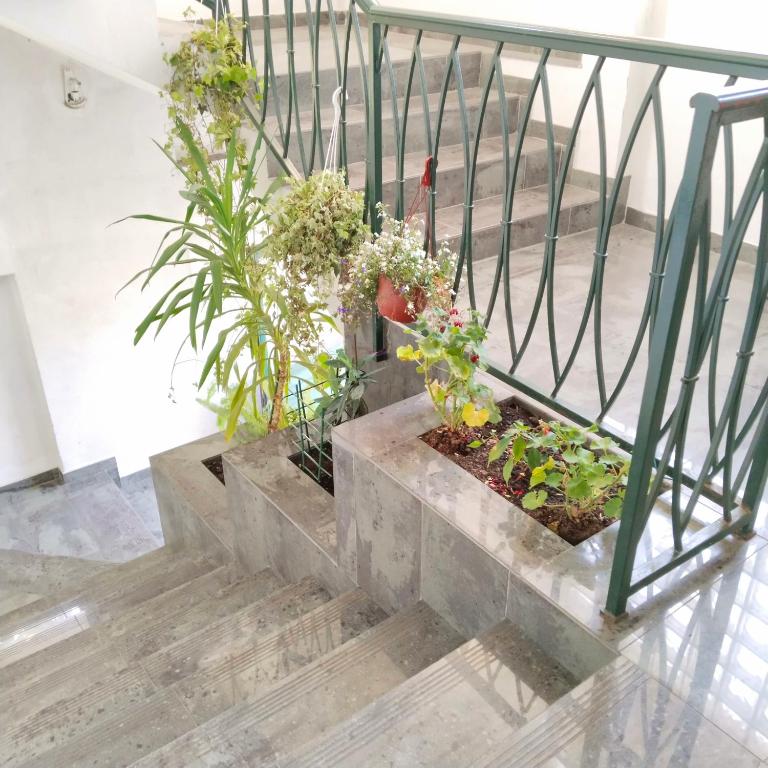 Apartments "Belle Vue" - Studio with Sea View - 14