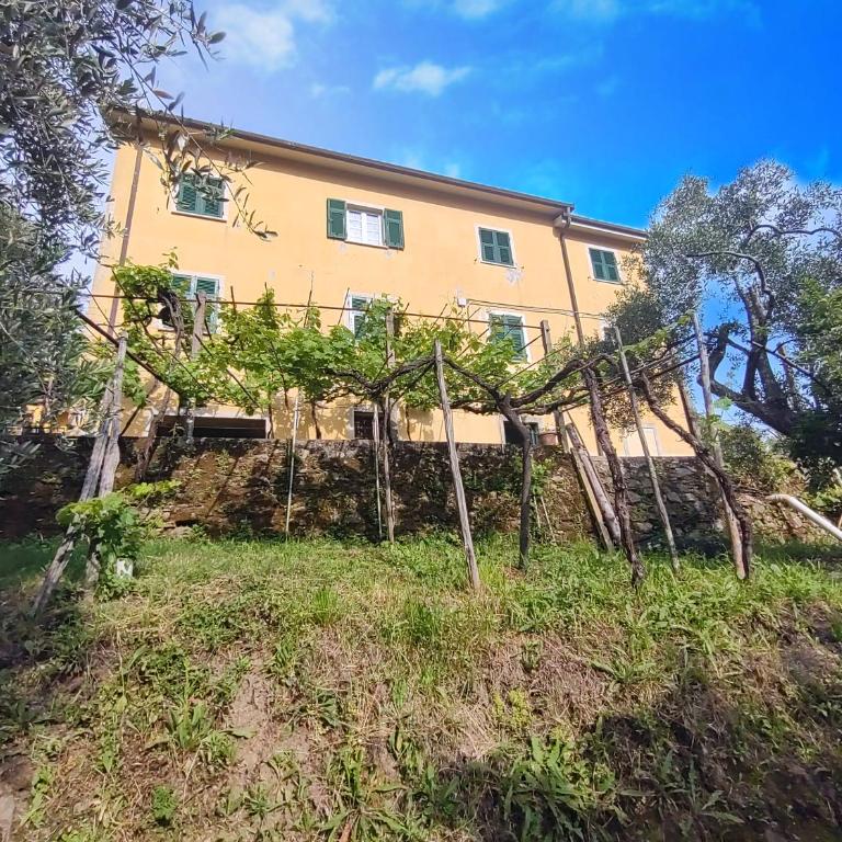Appartamento dei limoni - Studio - 1
