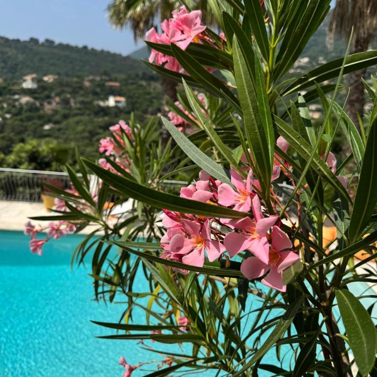 Villa Hirondelles 35 - Villa con vistas al mar - 20