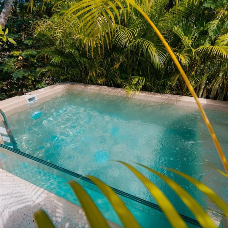 Casita Deva Stylish Mex casita, epic rooftop pool - Villa de 1 dormitorio - 3