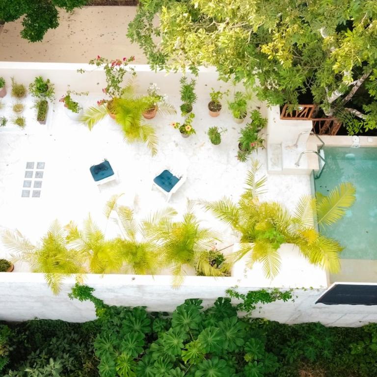 Casita Deva Stylish Mex casita, epic rooftop pool - Villa de 1 dormitorio - 54