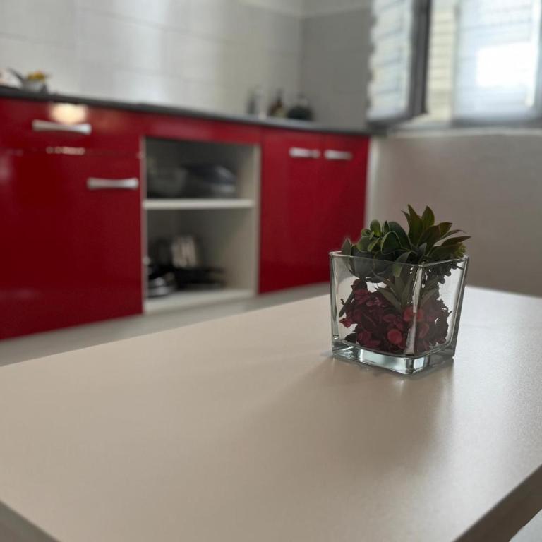Studio 2 personnes dans le célèbre quartier des chartreux - Apartment mit 1 Schlafzimmer - 4