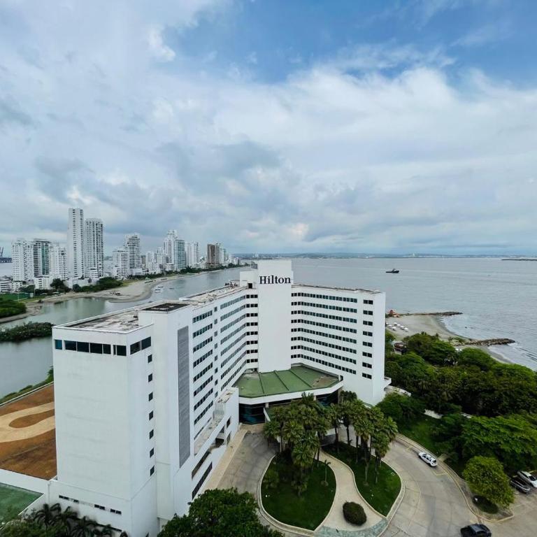 Acogedor Apartamento Ocean View - Apartamento de 1 dormitorio - 14