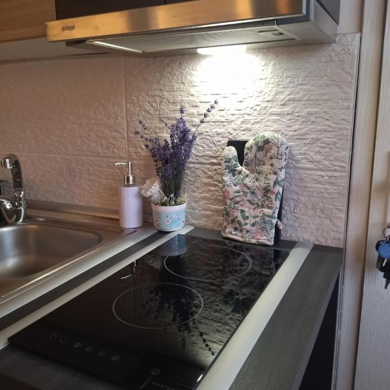 Apartman Perusic - One-Bedroom Apartment - 8