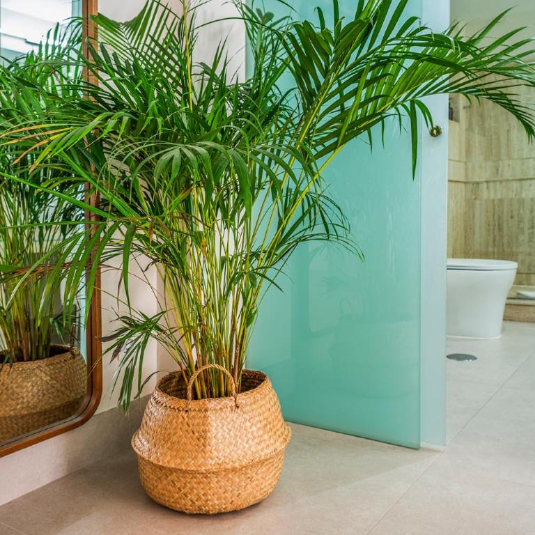 Calma Places - Luz de San Eloy - One-Bedroom Apartment - 9