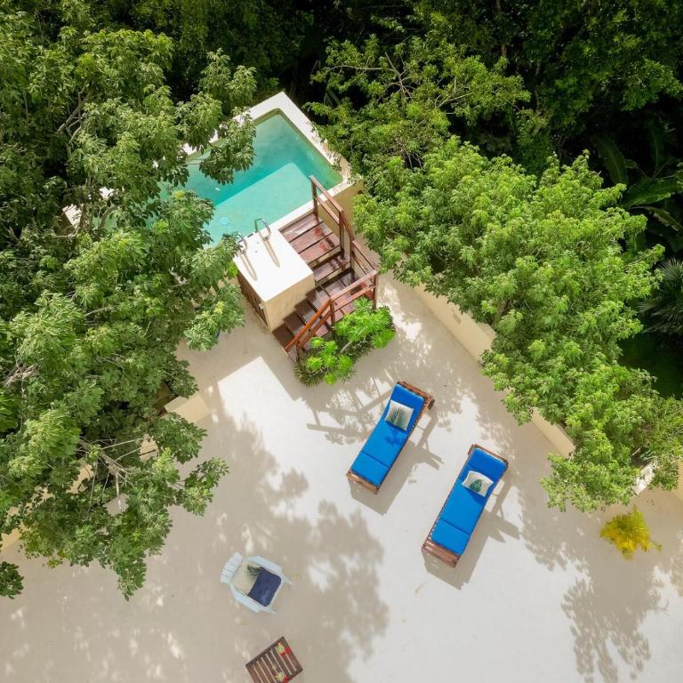 Casa Hibiscus Sky-high pool with birds above the jungle - Villa de 2 dormitorios - 20