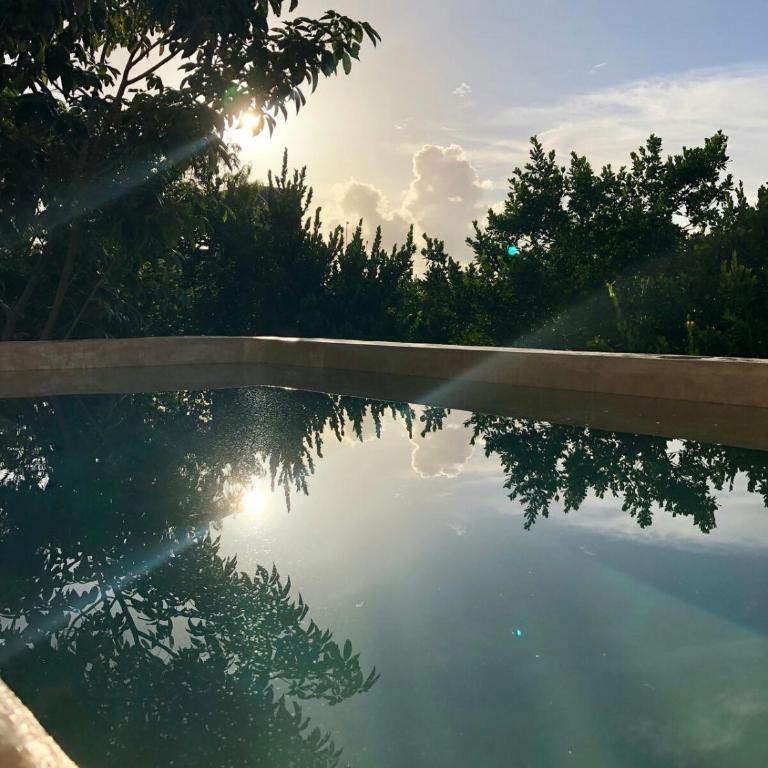 Casa Hibiscus Sky-high pool with birds above the jungle - Villa de 2 dormitorios - 52