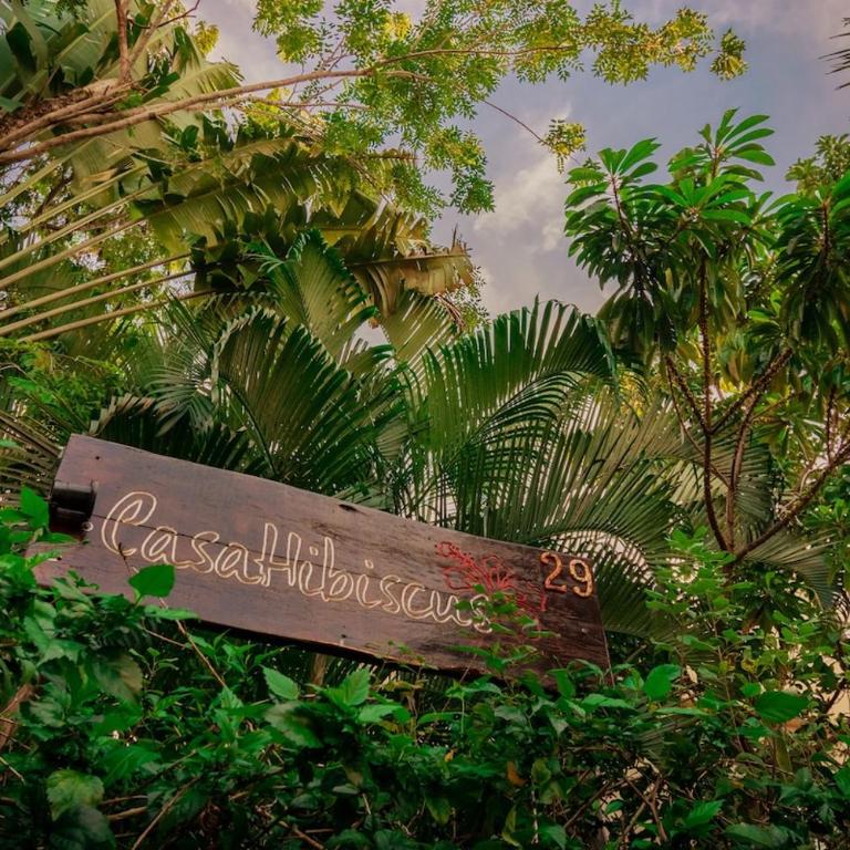 Casa Hibiscus Sky-high pool with birds above the jungle - Villa de 2 dormitorios - 7