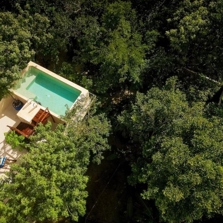 Casa Hibiscus Sky-high pool with birds above the jungle - Villa de 2 dormitorios - 58
