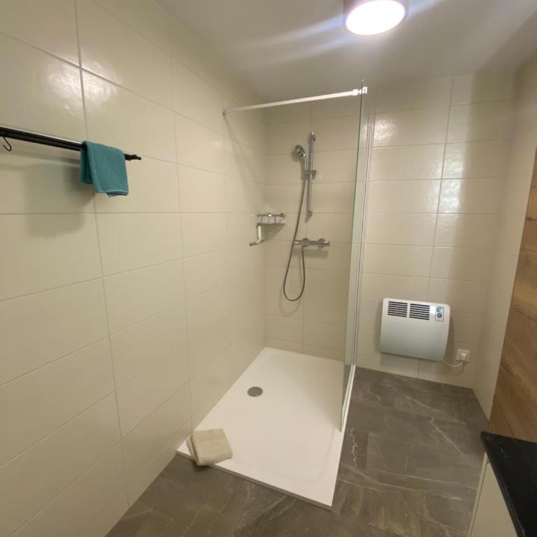 FeWo Leeb - Apartment mit 1 Schlafzimmer und Seeblick - 4