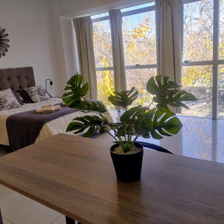 Terrazas Paseo Arístides - Apartamento de 1 dormitorio - 10