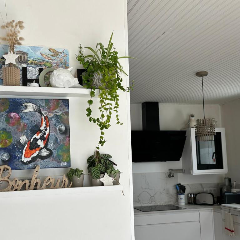 Grand Studio Mer et Confort centre-ville, parking - Casa con 1 dormitorio - 4