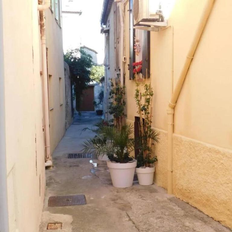 VINTAGE -Cosy nid douillet Vieil Antibes- Idéal couple - One-Bedroom Apartment - 12