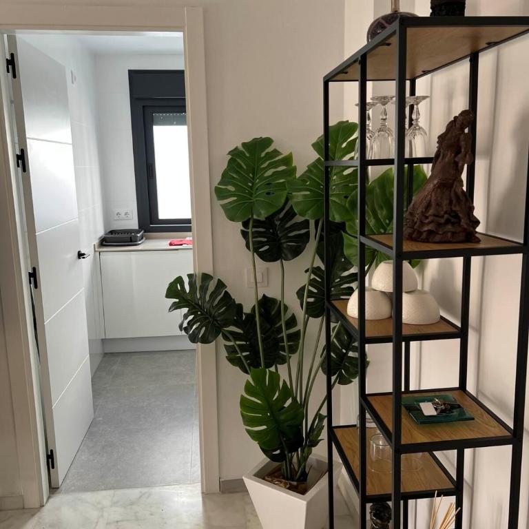 Ático Juan Grande 17 by Sanlúcar Housing - Apartamento de 1 dormitorio - 23