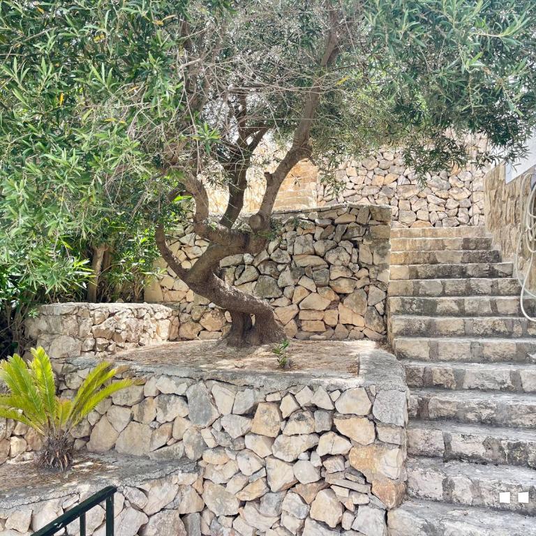 VH CostaBlanca - RULLE - Villa de 3 dormitorios - 10