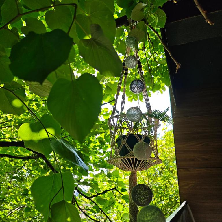 Cozy Nest - Apartman sa 1 Spavaćom Sobom - 10