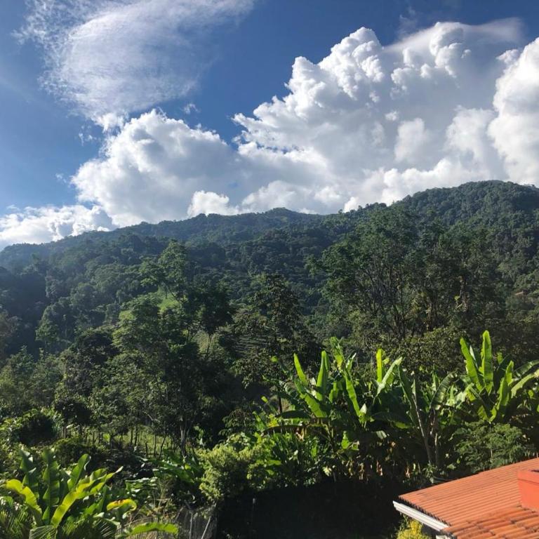 Central, mejor clima, campestre en Calambeo, a 5 minutos de la vida cultural - Habitación Doble Deluxe con vistas a la montaña - 1 o 2 camas - 13