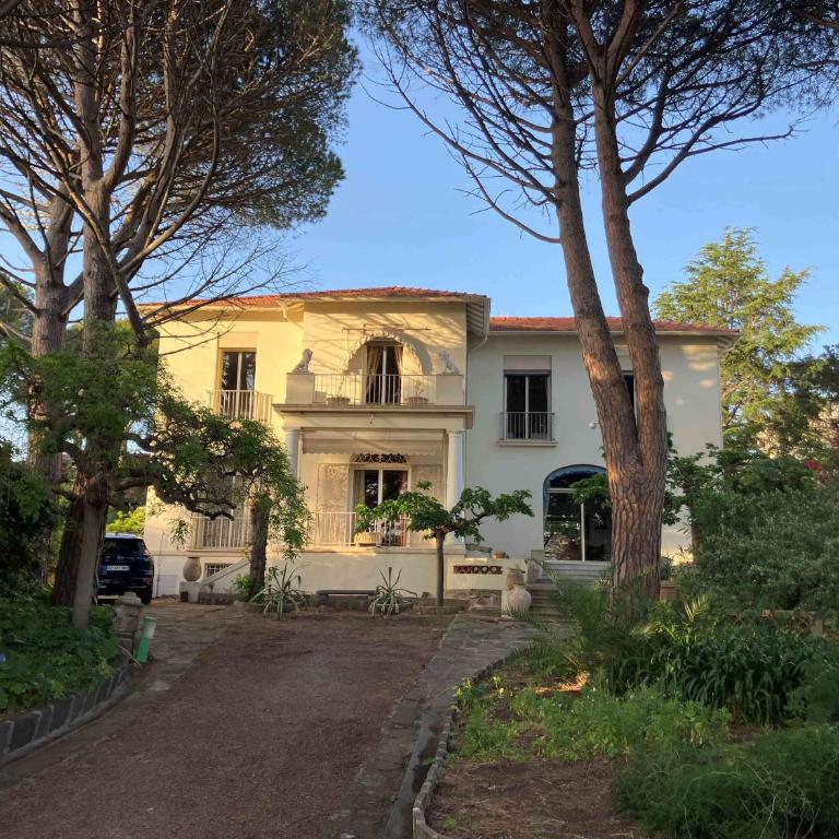 Grande Villa bord de mer, face au port Santa Lucia - Villa - 1