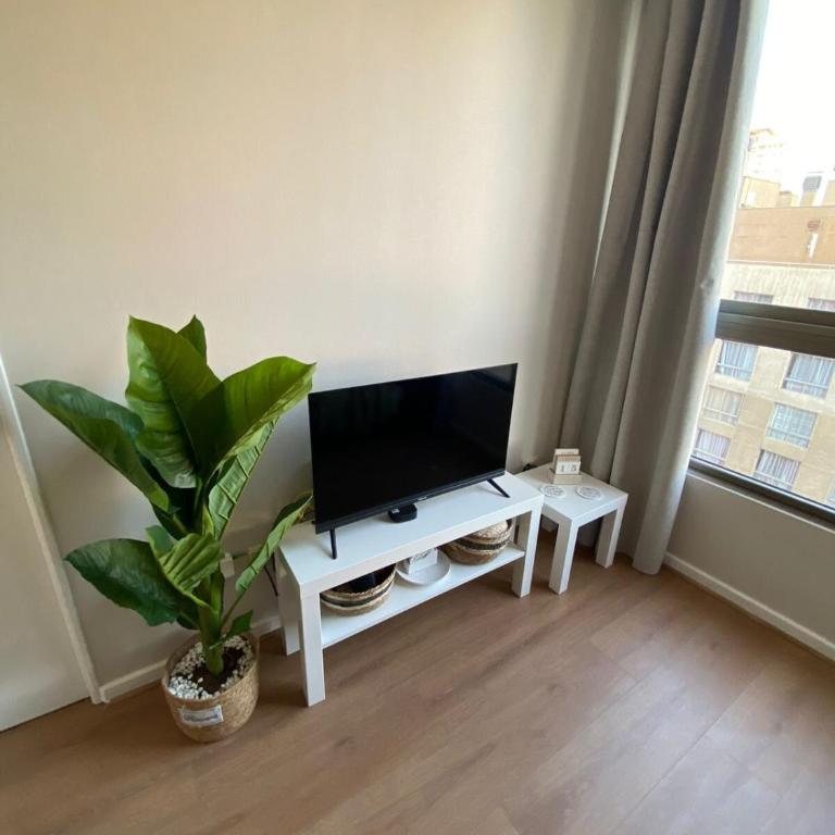 Centrico departamento cerca de todo - Two-Bedroom Apartment - 13
