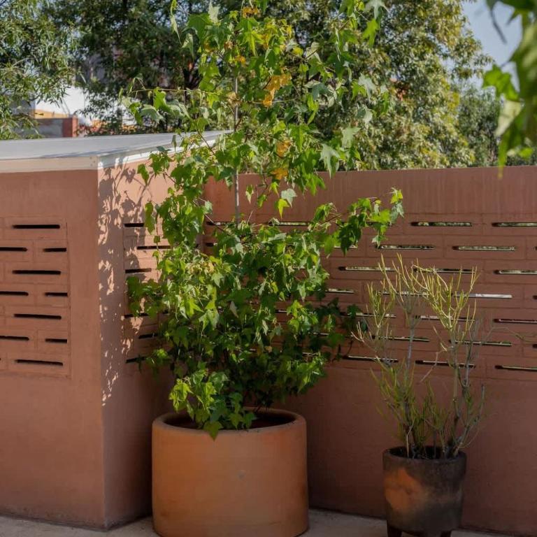Design & Timeless Charm Casa Serapio- Residence5 - Apartamento - 25
