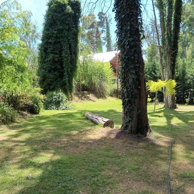 Cabaña Pehuen, Bosque Peralta Ramos, Mar del Plata - Casa de 2 dormitorios - 25