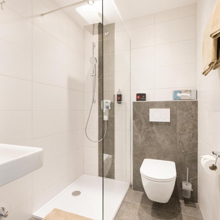 Hotel Pension*** Wiesenhof - Junior Suite mit Dusche - 5