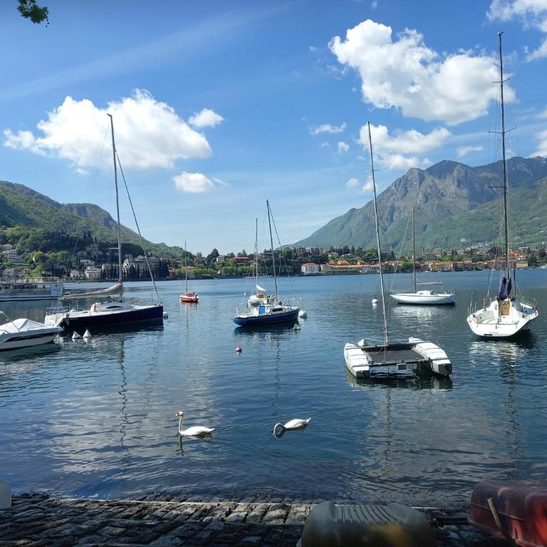 MERIDIAN House 2 LECCO - Appartamento con 1 Camera da Letto - Non Fumatori - 16