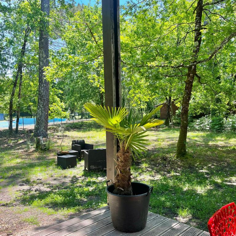 Talaris, les 5 horizons lac, forêt, océan, piscine, sport - Chalet 3 Chambres - 3