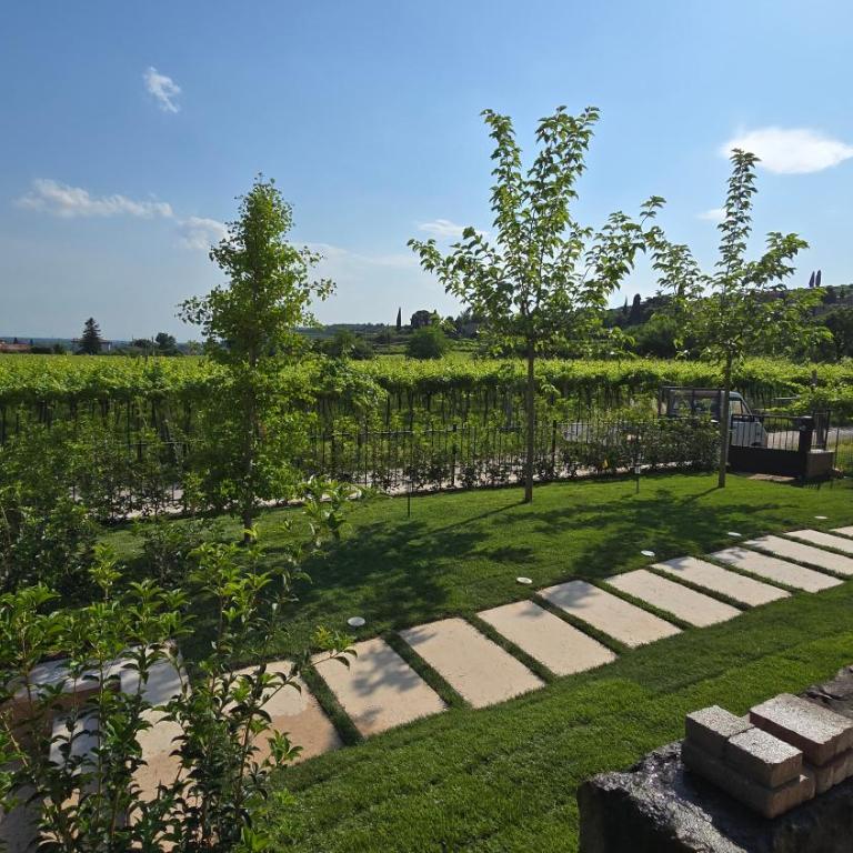 Agriturismo Igino - Camere fra Vigneti della Valpolicella - Camera Quadrupla Classic - 6
