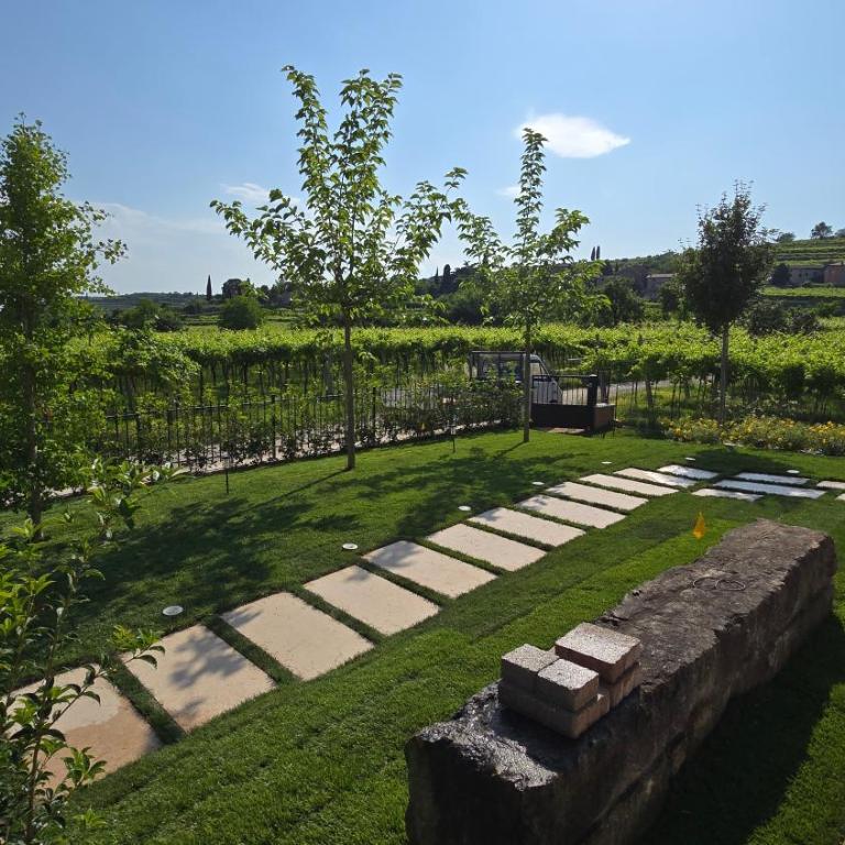 Agriturismo Igino - Camere fra Vigneti della Valpolicella - Camera Matrimoniale con Accesso Disabili - 11