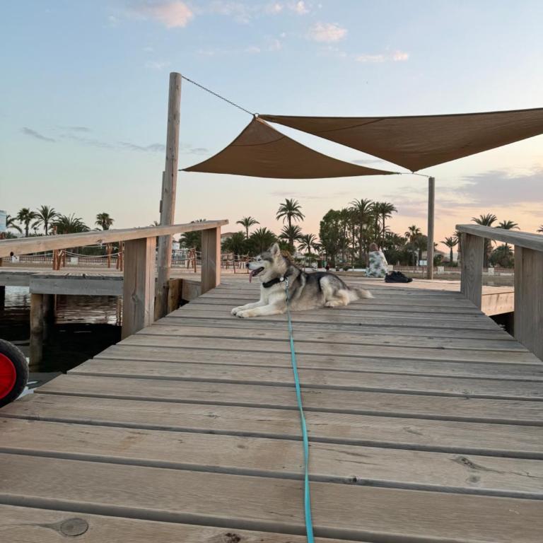 VILLA MARE - 2 beds with balcony, patio and pool and direct park access - Two-Bedroom House - 29